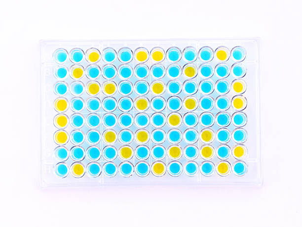 elisa plate - microplate stock-fotos und bilder