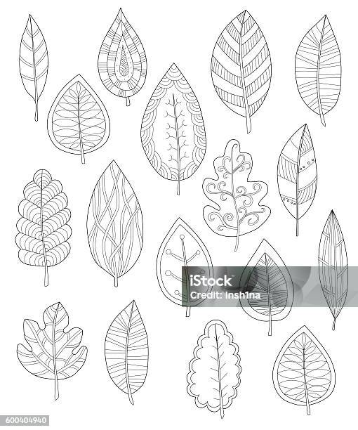 Collection Of Leaves For Coloring Pages Stock Illustration - Download Image Now - Coloring Book Page - Illlustration Technique, Adult, Autumn