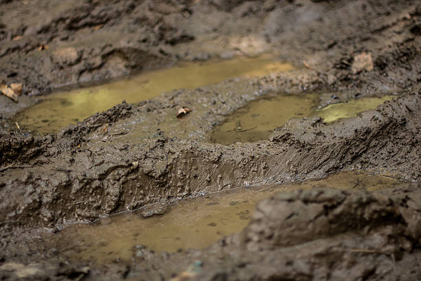 texture of wet brown mud road - dirt road textured dirt mud imagens e fotografias de stock
