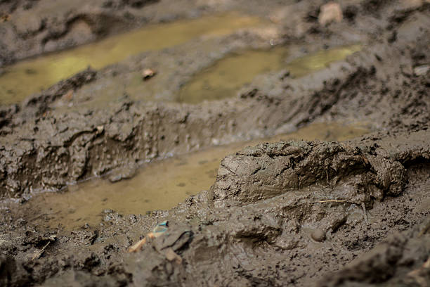 istock texture of wet brown mud road 600407530