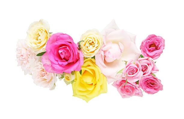 istock Bouquet of roses 600408062