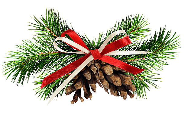 istock Christmas decoration with pine twigs, cones and ribbon bow 600408372