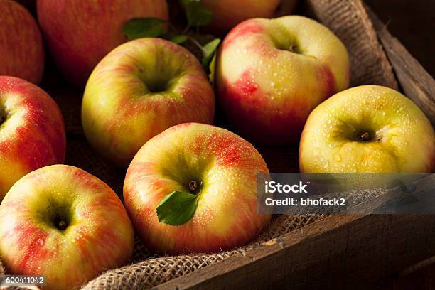 https://media.istockphoto.com/id/600411042/photo/raw-organic-honeycrisp-apples.jpg?s=612x612&w=is&k=20&c=4gUCltIa0uH_7TWOUpayYKwHylOLk5aHwwD29vRFm7Q=