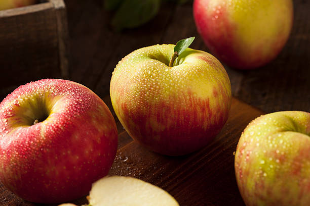 istock Raw Organic Honeycrisp Apples 600411096