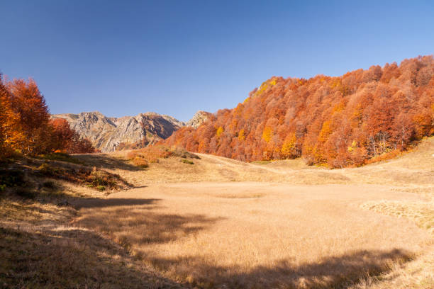 istock beautiful Caucasian mountains in autumn 600414464
