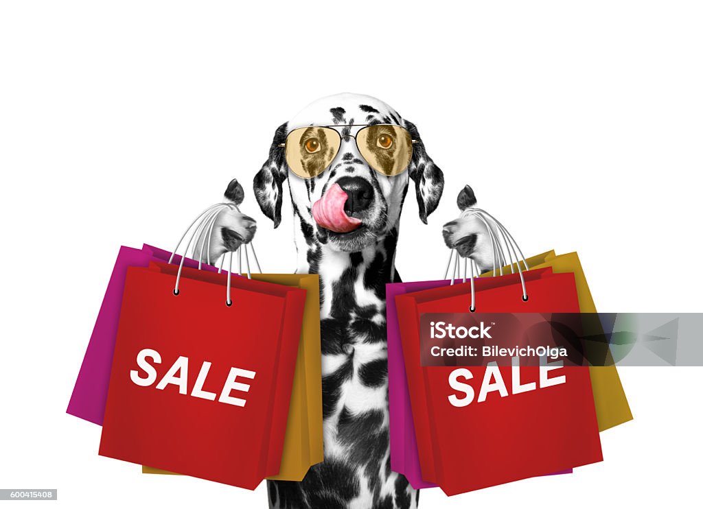 Cute dog goes shopping and sales Cute dog goes shopping and sales -- isolated on white Animal Stock Photo