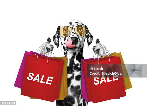 Cute Dog Goes Shopping And Sales Stock Photo - Download Image Now - Animal, Arts Culture and Entertainment, Bag
