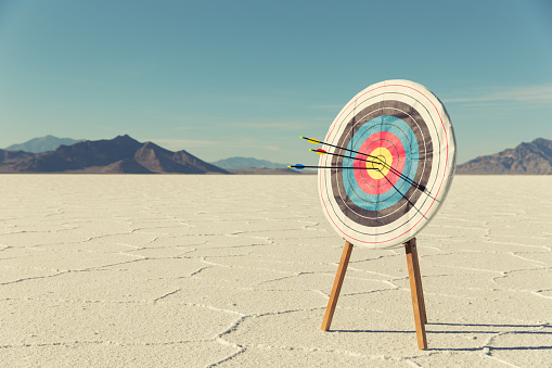 A target with several arrows in the bullseye stands on the Bonneville Salt Flats. The business has found success and it mark for the future. 