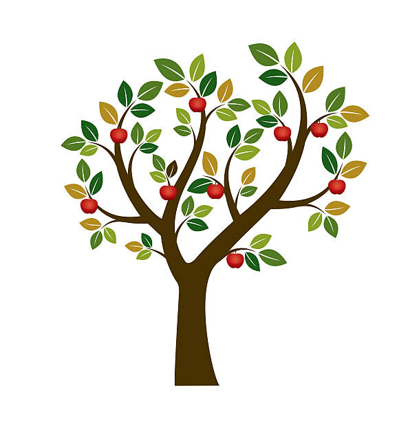 ilustraciones, imágenes clip art, dibujos animados e iconos de stock de manzano de color. ilustración vectorial. naturaleza y jardín - árboles frutales