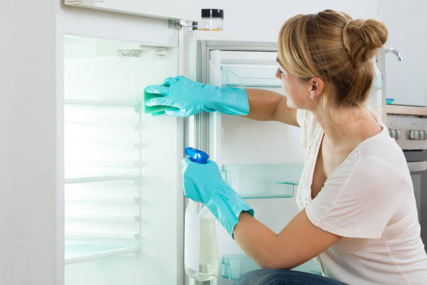 istock Woman Cleaning Refrigerator At Home 600670978
