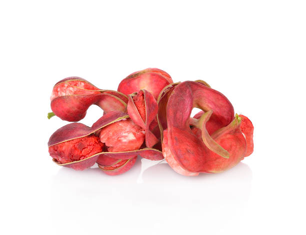 istock Manila tamarind fruit isolated on white background 600677134