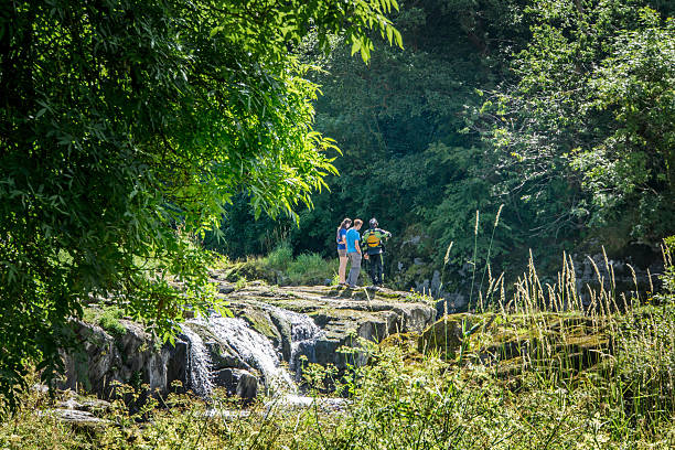 River Teifi in summertime at Cenarth Cenarth, UK - July 31, 2016: Three people standing on the bank of the River Teifi in summertime at Cenarth teifi river stock pictures, royalty-free photos & images