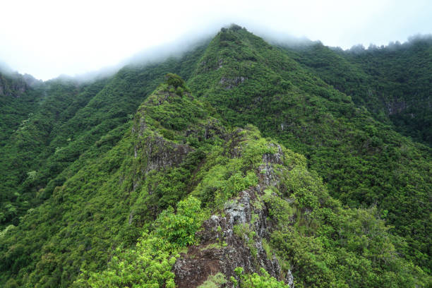 istock Misty Hawaiian Mountain Landscape 600680540