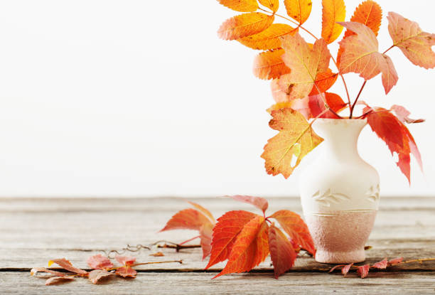 istock Autumn Leaves in vase 600681678