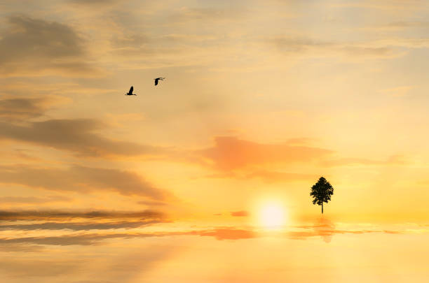 istock Silhouette of a tree against sunset 600682346