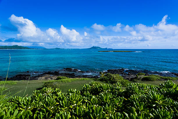 Kailua bay in Oahu Island
