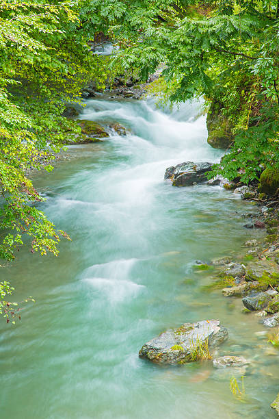 istock Deep in the mountains of the clear stream. 600683084
