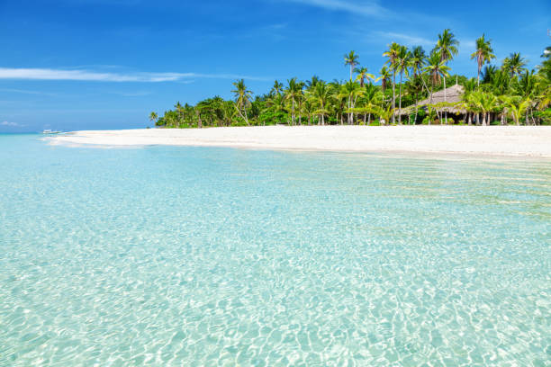 istock Fantastic turquoise beach with palm trees and white sand 600684644
