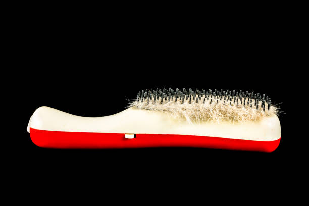 old red hairbrush with sticking out hair. old hairbrush on white background. High quality photo