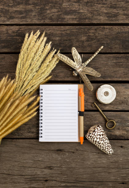 blank notebook and dry flower with old key