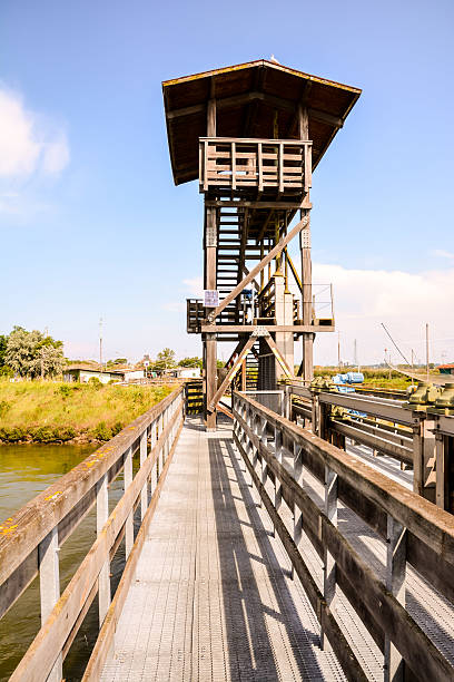 istock Landscape The Po Delta 600691590