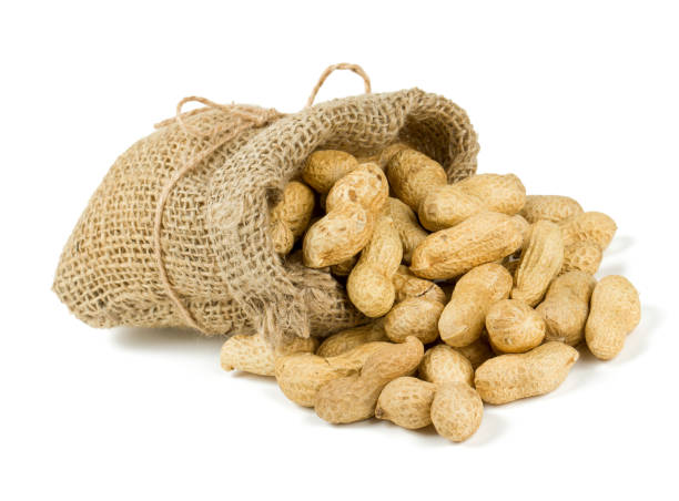 peanuts in a miniature burlap bag isolated on white