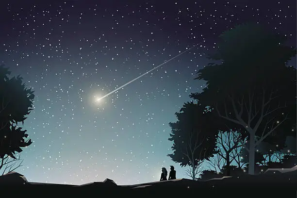 Vector illustration of couple watch shooting star in forest