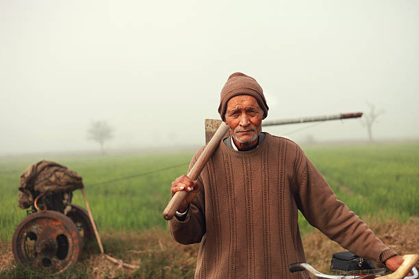 Old Indian farmer standing in green field. 
