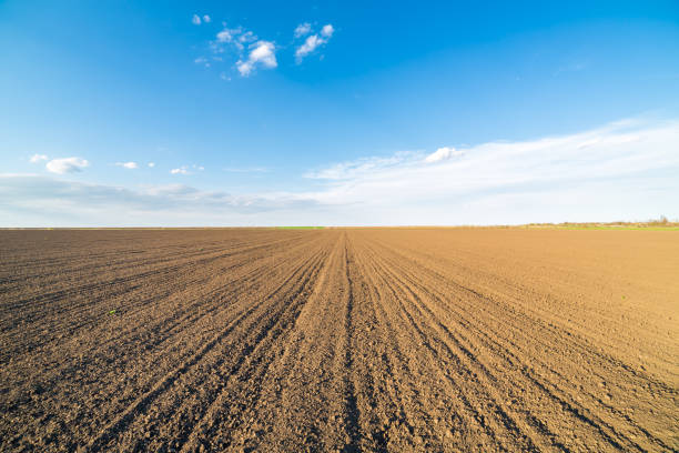 istock Agricultural landscape, arable crop field. 600695360