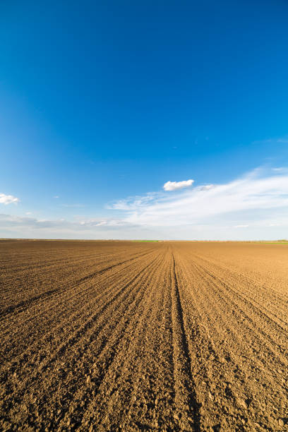 istock Agricultural landscape, arable crop field. 600695604