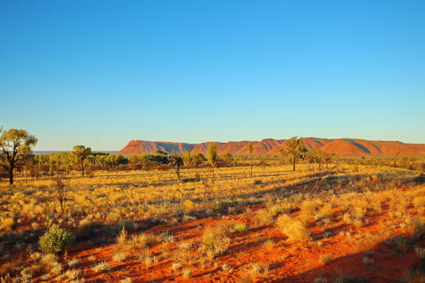 istock Kings Canyon, Australia 600695630