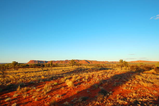istock Kings Canyon, Australia 600695792