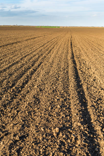 istock Agricultural landscape, arable crop field. 600695954