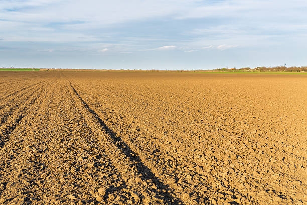istock Fertile land, arable crop field. 600696040
