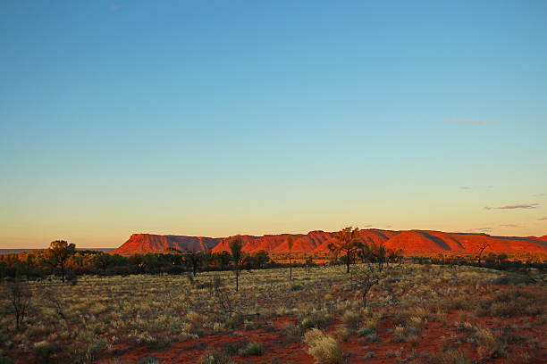 istock Kings Canyon, Australia 600696062