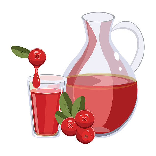 ilustrações de stock, clip art, desenhos animados e ícones de wild northern cranberry red vector berries. - cranberry juice