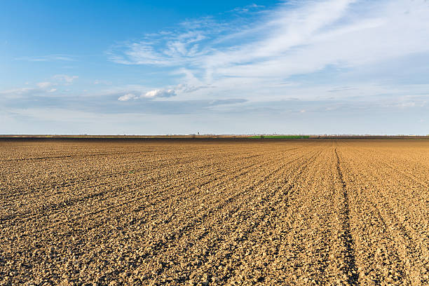istock Fertile land, arable crop field. 600696230
