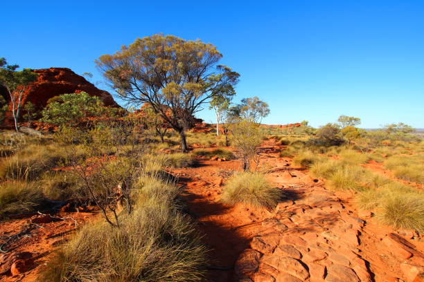istock Kings Canyon, Australia 600696878