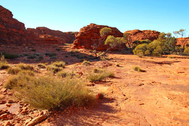 istock Kings Canyon, Australia 600697814
