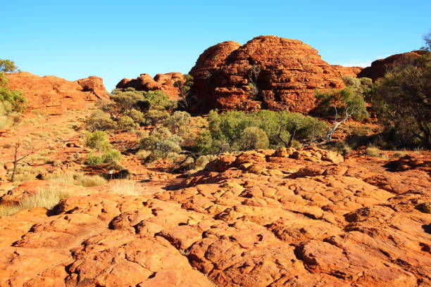 istock Kings Canyon, Australia 600698844