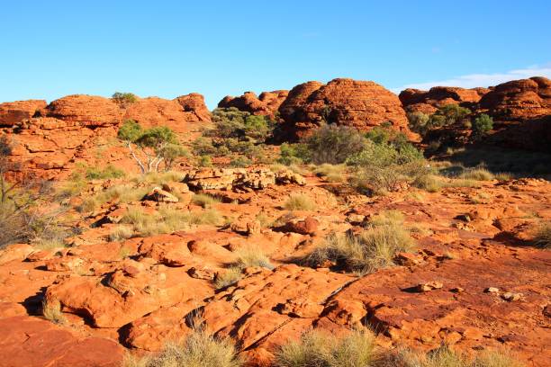 istock Kings Canyon, Australia 600699230