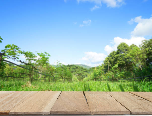 istock wood table top on blur green grass and blue sky 600701518