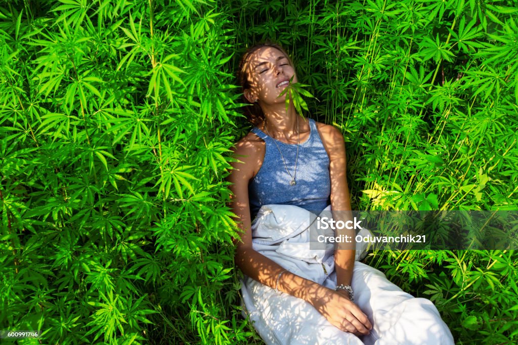 Bonne jeune fille dans un buisson de marijuana - Photo de Plant de cannabis libre de droits