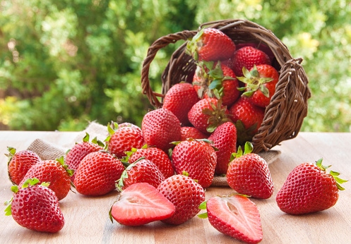 fresh strawberries fallen out of a wooden basket outdoors
