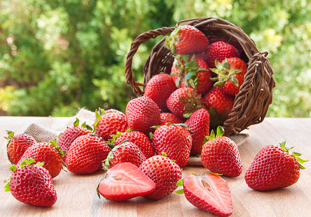 Strawberries fresh strawberries fallen out of a wooden basket outdoors strawberry photos stock pictures, royalty-free photos & images