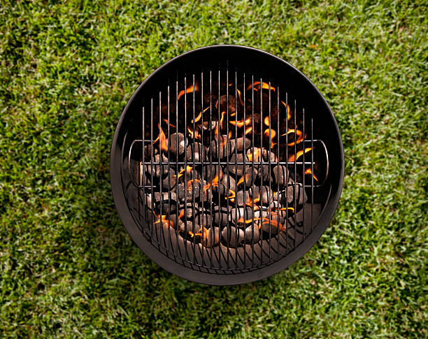 barbacoa de carbón en el patio trasero en la hierba - plant macro studio shot outdoors fotografías e imágenes de stock