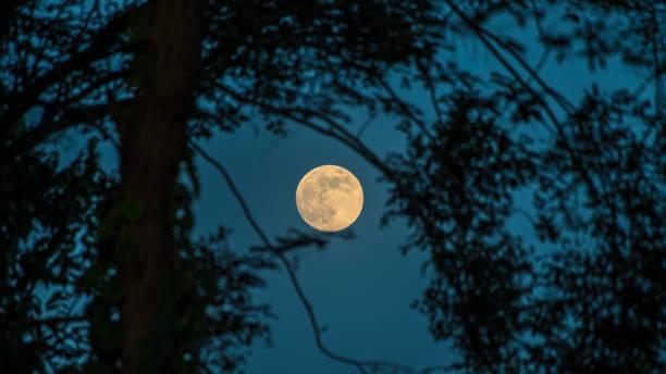 istock The full moon in the night sky. 600994170