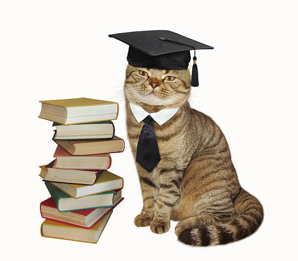 istock The cat and books. 600994552