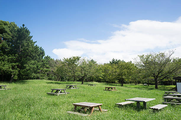 istock Afternoon in the park 600995826