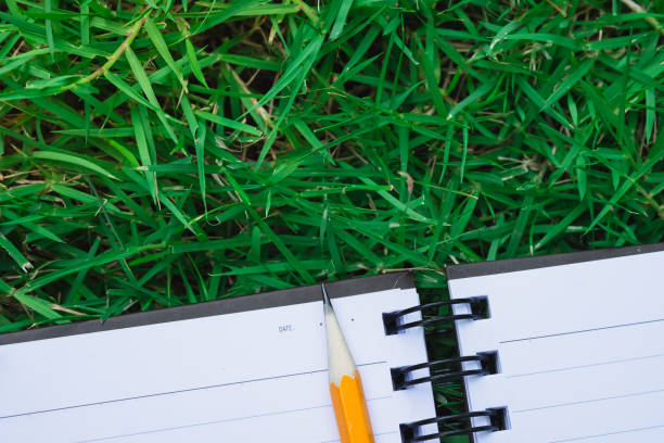 istock reminder notebook with pencil on space green field grass 600996794
